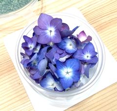 紫陽花ドライフラワー(中)