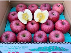 信州産「赤田の家」贈答用サンふじ　16個入り5k箱