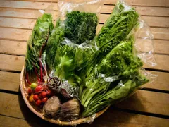 ご夫婦二人で食べきり量のサラダボウルが作れる詰め合わせセット【少量パック8品目】