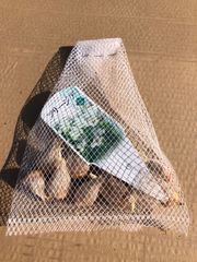 片山園芸 有限会社 片山園芸 | 花卉、家庭菜園用の野菜苗の契約栽培、園芸