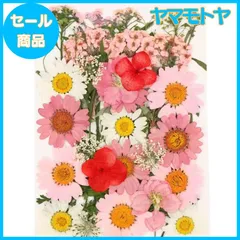 2025年最新】ハーバリウム花材の人気アイテム - メルカリ