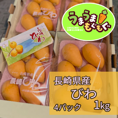 【数量限定品】長崎県産　びわ　1kg（250ｇ×4パック） ビワ