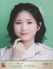 22/7 ナナニジ　西條和　チェキ　12枚セット　衣装　サンタ　限定 NEWS | 22/7(ナナブンノニジュウニ)