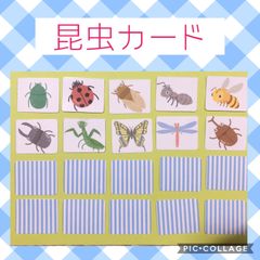 昆虫カード　神経衰弱　絵合わせ　モンテッソーリ　知育教材　支援