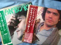 LP デイヴィッド・サンボーン　2アルバム セット