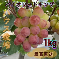2024年最新】バイオレットキング ぶどうの人気アイテム - メルカリ