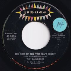 Raindrops The Kind Of Boy You Can't Forget / Even Though You Can't Dance Jubilee US 45-5455 211854 ROCK POP ロック ポップ レコード 7インチ 45