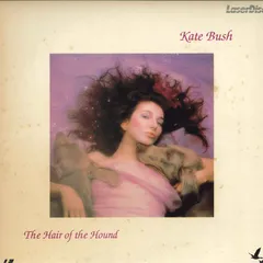ケイト・ブッシュ／ストーリー ベストアルバム LP レコード Kate Bush ケイト・ブッシュ レコード