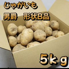 A-STYLE 自家栽培 じゃがいも 男爵芋 形状B品 5ｋｇ「ショップアカウントではゆうゆうメルカリ便で送れないため沖縄への発送は出来かねます、個人アカウントよりご購入頂けましたら発送可能ですので出品いたしましたらそちらよりよろしくお願いいたします。」