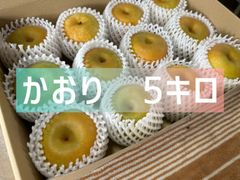 千葉県産 かおり 6キロ - メルカリ