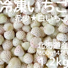 訳あり 業務用 大容量 冷凍 いちご 北海道産 すずあかね イチゴ 苺 18kg 業務用 大容量 冷凍 いちご 北海道産 すずあかね イチゴ 苺 18kg