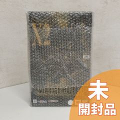 【未開封】METAL BUILD クロスボーン・ガンダムX2