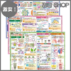 【激安！】お風呂の学校 中学受験マスターどこでも理科 お風呂ポスター 3枚セット 日本製 中学受験に必要な理科まとめ B3サイズ 学習 知育 防水
