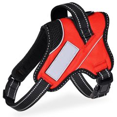 Item thumbnail for item 5fd1ec05-02f1-40b6-bd62-2f6950b4cc6d