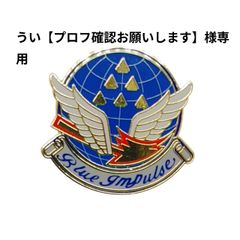 うい【プロフ確認お願いします】様専用