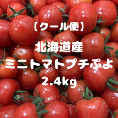 ミニトマトプチぷよ2.4kg
