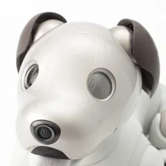 ソニー アイボ aibo 犬 ペットロボット 家電 ERS-1000 ベーシックホワイト【中古】