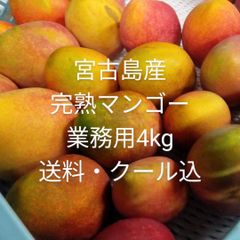 宮古島産マンゴー 4kg 訳あり 糖度13度以上 - メルカリ
