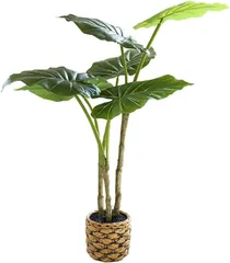【在庫処分】qinhome人工観葉植物 熱帯観葉樹 旅人木 光触媒 フェイクグリーン フェイク大型サイズ 高さ65CM 簡単世話いらず 陶器鉢 鉢は取り外し不可 インテリア 屋内 リビング オフィス 空気清浄 (ディフェンパキア)