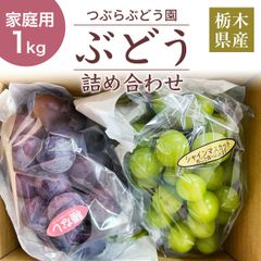 ぶどう 【つぶらぶどう園】 家庭用 詰合せ ぶどう色々 品種お任せ 1kg  栃木県栃木市
