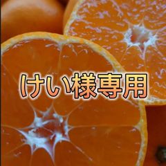 佐瀬みかん けい様専用