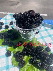 【売切】不揃い 瀬戸内ブランド桑の実ジャム用１kg