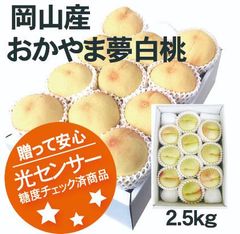 【冷蔵便】岡山産　糖度測定品　おかやま夢白桃　2.5ｋｇ　10～12玉入　1箱　ご予約商品　発送：8月上旬～