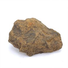 NWAxxx 15.1g 原石 標本 石質 隕石 普通コンドライト No.16