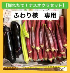 ふわり様　専用ページ