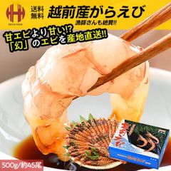 ガラエビ がらえび がらエビ 500g ガマエビ ガサエビ モサエビ 刺身 越前産 福井県 ギフト