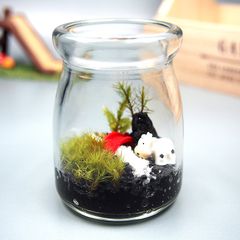 【苔テラリウム・手作りキット一式】コルク付きビン