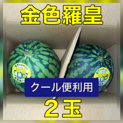 北海道沖縄離島追加送料無し　熊本県産黄色すいか《金色羅皇》２玉クール便お届け