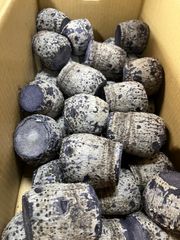 沖縄県産　田芋　タイモ　Lサイズ　2キロ　加熱調理済み　冷凍便