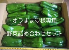 朝どれ新鮮✨産地直送☀️高知県産ピーマン3キロ送料込み！減農薬栽培
