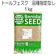 トールフェスク種子　品種指定なし　1kg【種】紅大貿易　芝の種　芝生の種　寒地型　西洋芝