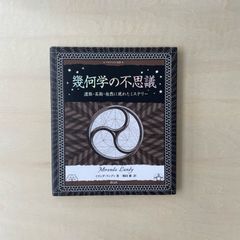 【新本】幾何学の不思議:遺跡・芸術・自然に現れたミステリー