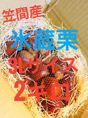 茨城県【笠間産】　氷蔵熟成栗2kg