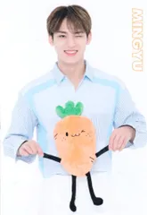 SEVENTEEN 2019 Happy Ending SHOWCASE MINGYU トレーディングカード 23