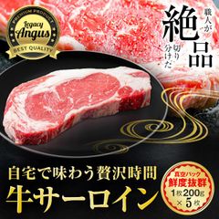 【牛肉の王様】牛サーロイン ステーキ 200g×5枚 赤身肉 厚切り真空 冷凍