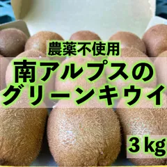 3GRL2　【大玉】キウイフルーツ　3kg　約30玉　農薬不使用　山梨県南アルプス市産　国産