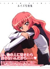 一迅社 ゼロの使い魔 双月の騎士 ルイズ写真集 (帯付)