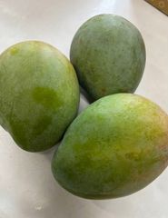 熱帯果実の王様！！甘くて美味しい　沖縄産キーツマンゴー　3玉(1.4キロ)