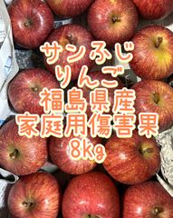 サンふじ　りんご　福島県産　家庭用傷害果　小玉中玉　8kg