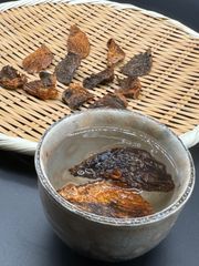 【お買い得品】とらふぐ焼きひれ 10枚【約10g】
