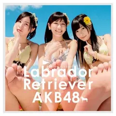 ラブラドール・レトリバー Type-4(初回限定盤)(多売特典生写真なし) [Audio CD] AKB48