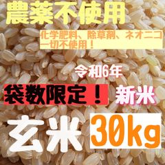 袋数限定！さくらの玄米  農薬不使用  無農薬   ヒノヒカリ 玄米   新米  30kg