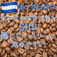 （焙煎豆300g）ホンジュラス・セレクトマウンテン