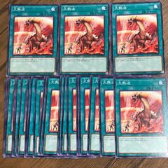 遊戯王　大熱波
