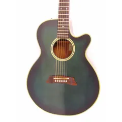 2025年最新】takamine pt 106の人気アイテム - メルカリ