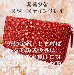 希少スタースティングレイ スティングレー エイ革 レッド 財布 - メルカリ